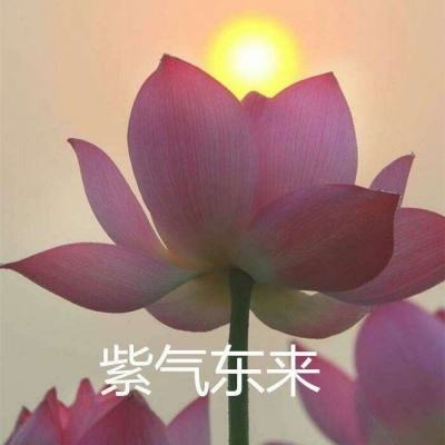荣耀大天使oppo客户端下载